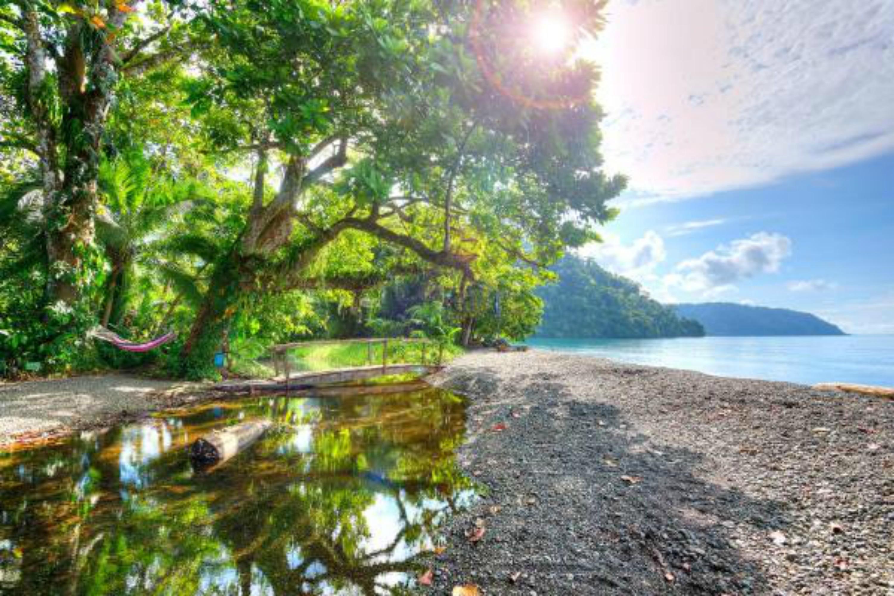 Playa Nicuesa Rainforest Eco Sanctuary Golfito Kültér fotó