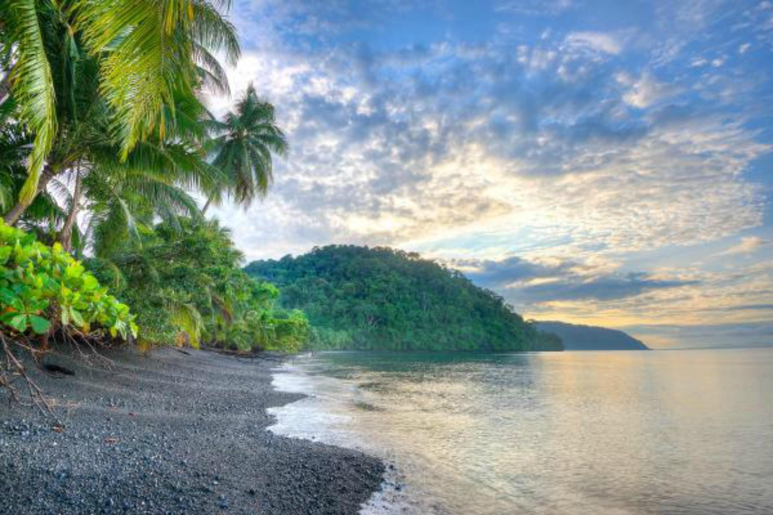 Playa Nicuesa Rainforest Eco Sanctuary Golfito Kültér fotó