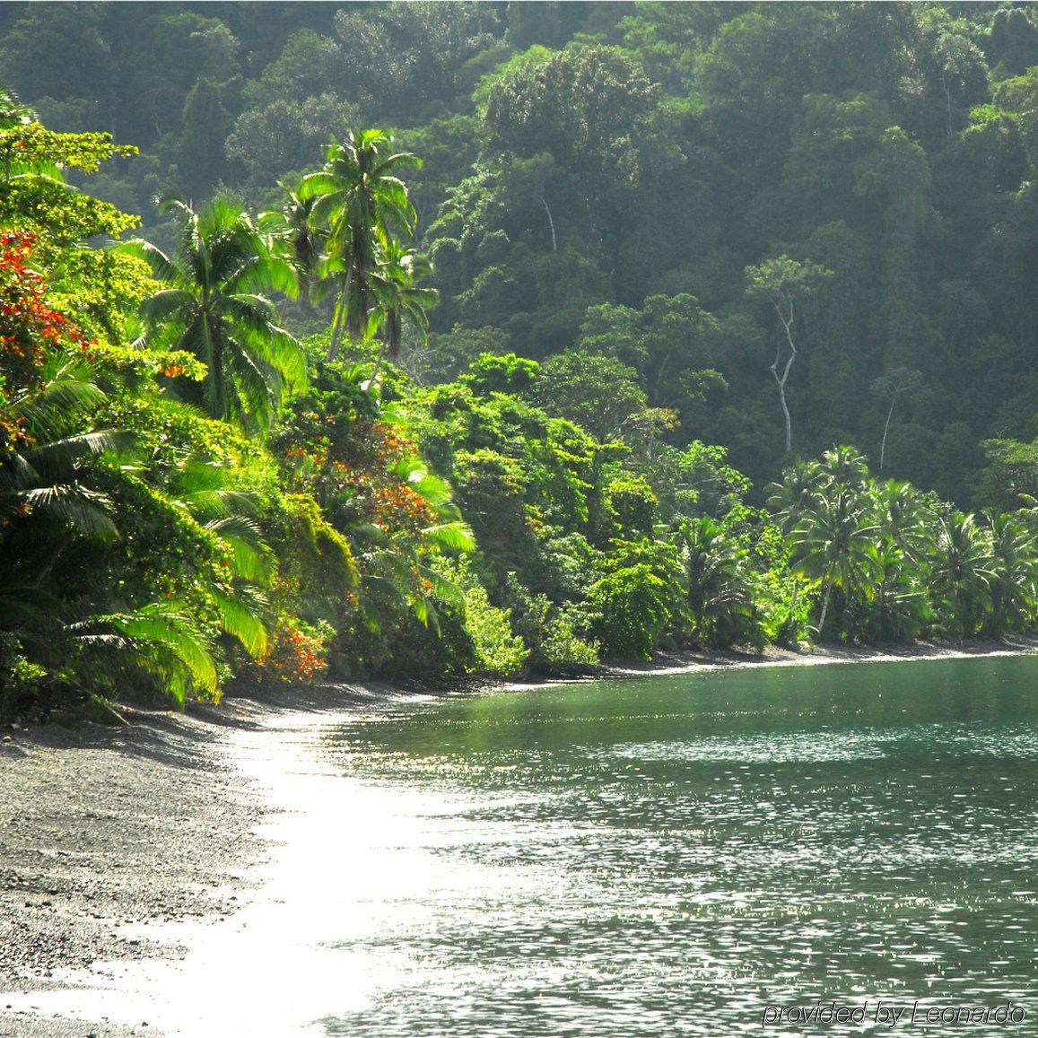 Playa Nicuesa Rainforest Eco Sanctuary Golfito Kültér fotó