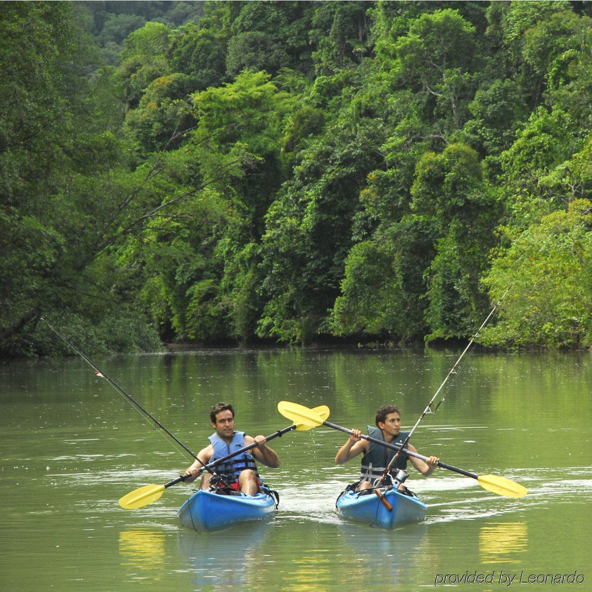 Playa Nicuesa Rainforest Eco Sanctuary Golfito Kültér fotó