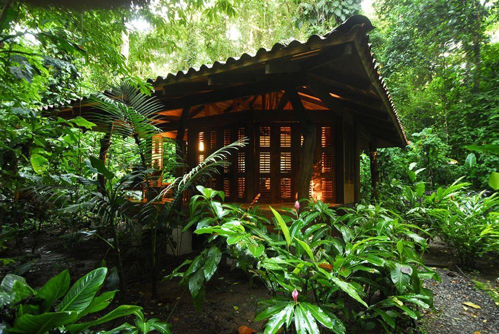 Playa Nicuesa Rainforest Eco Sanctuary Golfito Kültér fotó