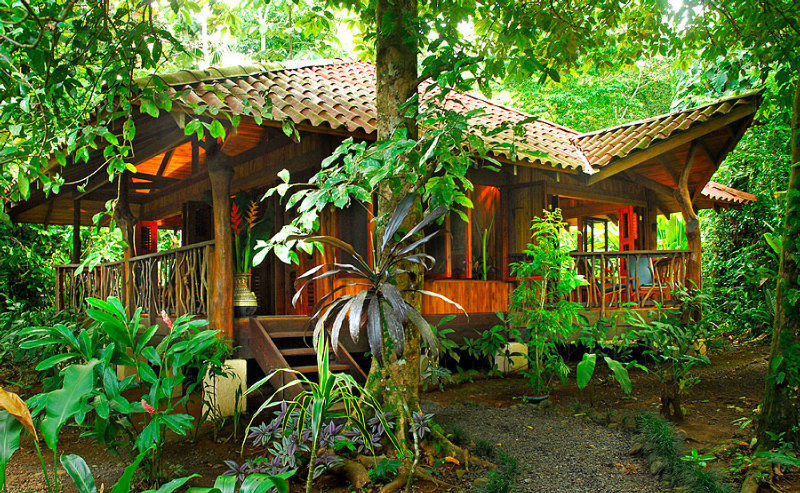 Playa Nicuesa Rainforest Eco Sanctuary Golfito Kültér fotó