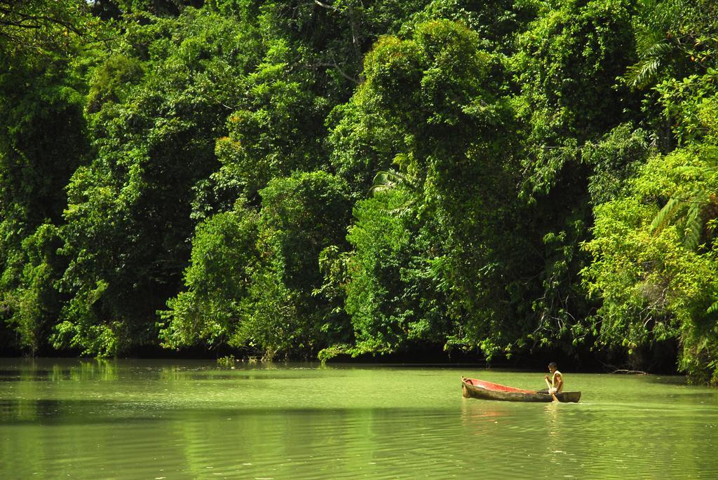 Playa Nicuesa Rainforest Eco Sanctuary Golfito Kültér fotó