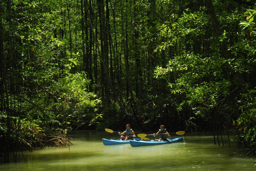 Playa Nicuesa Rainforest Eco Sanctuary Golfito Kültér fotó